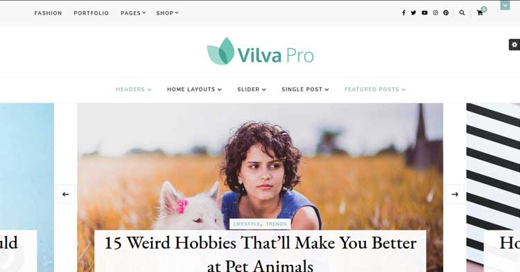 Vilva Pro Blogging Theme