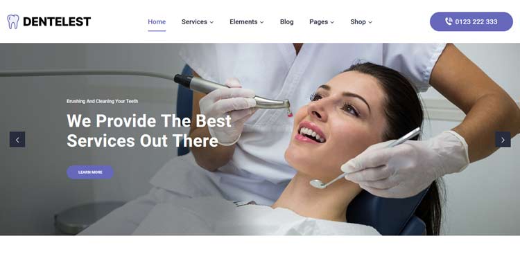 Download Templatemonster - Dentelest Dentist Clinic WordPress Theme