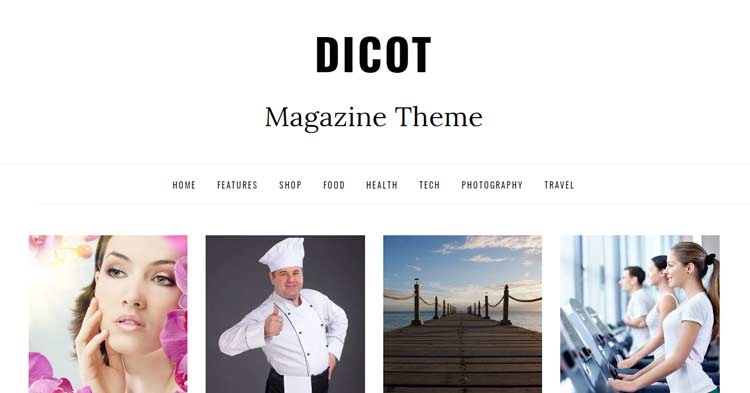 Dicot Blog Magazine WordPress Theme